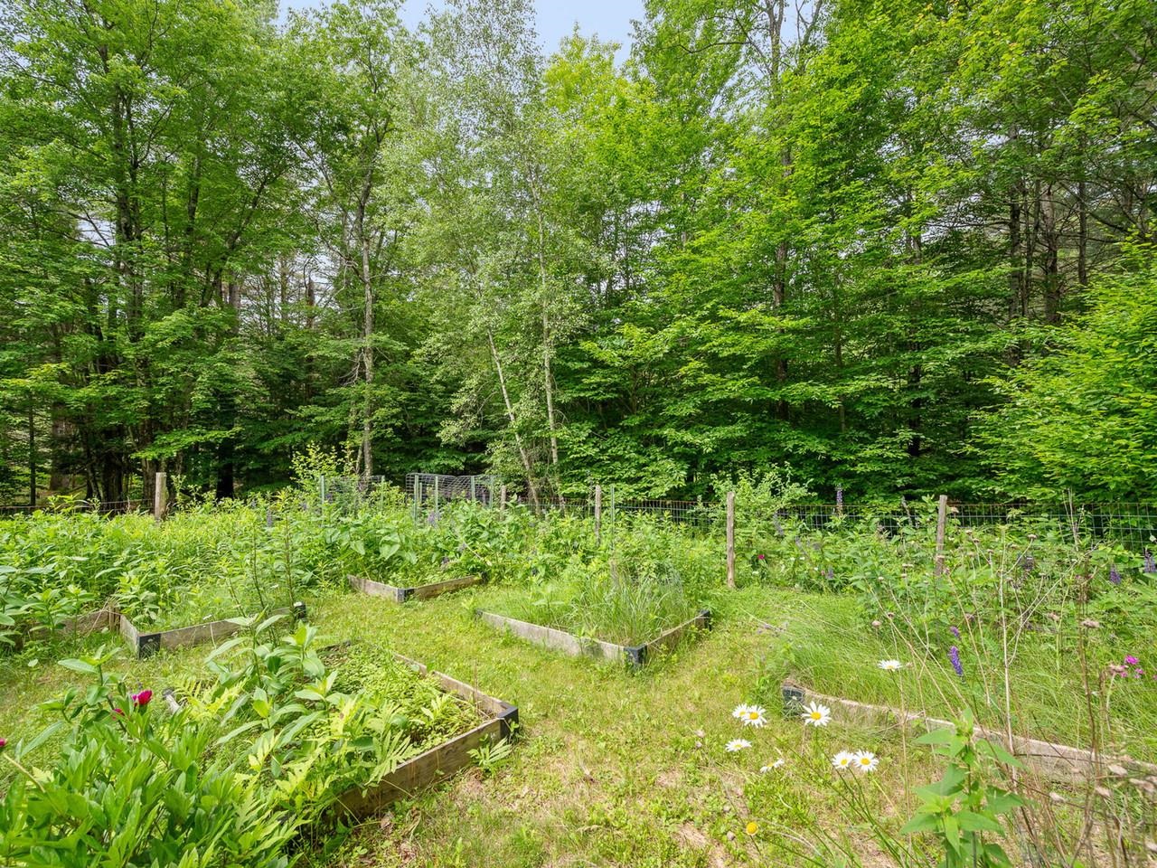 Raised Beds