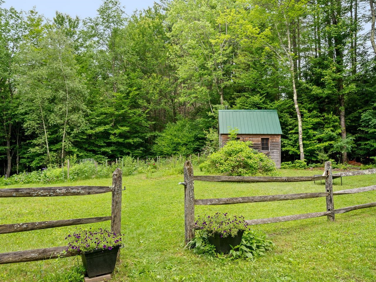 Backyard Cabin