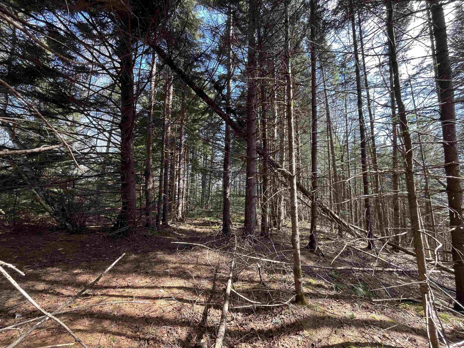 980 Coles Road