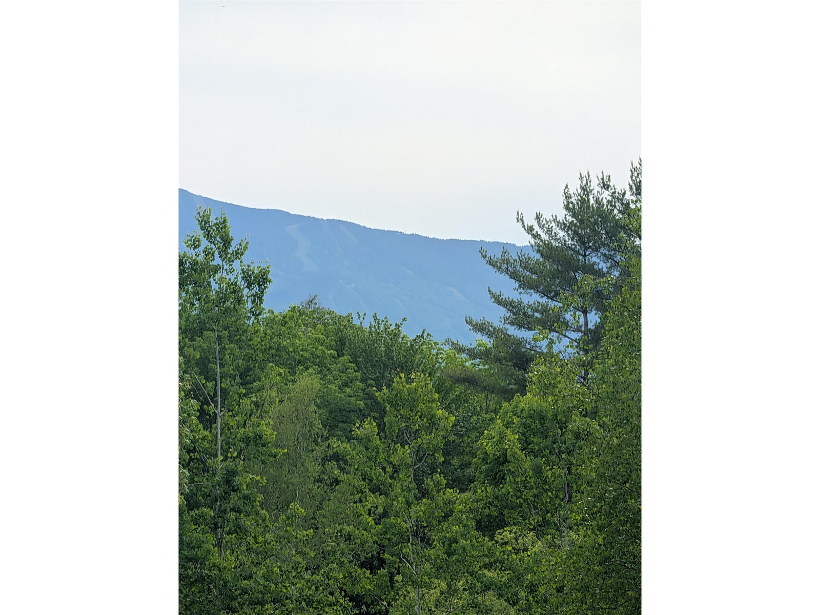 99 Bushnell Road