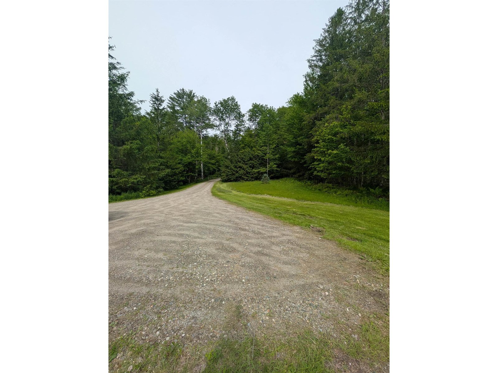 99 Bushnell Road