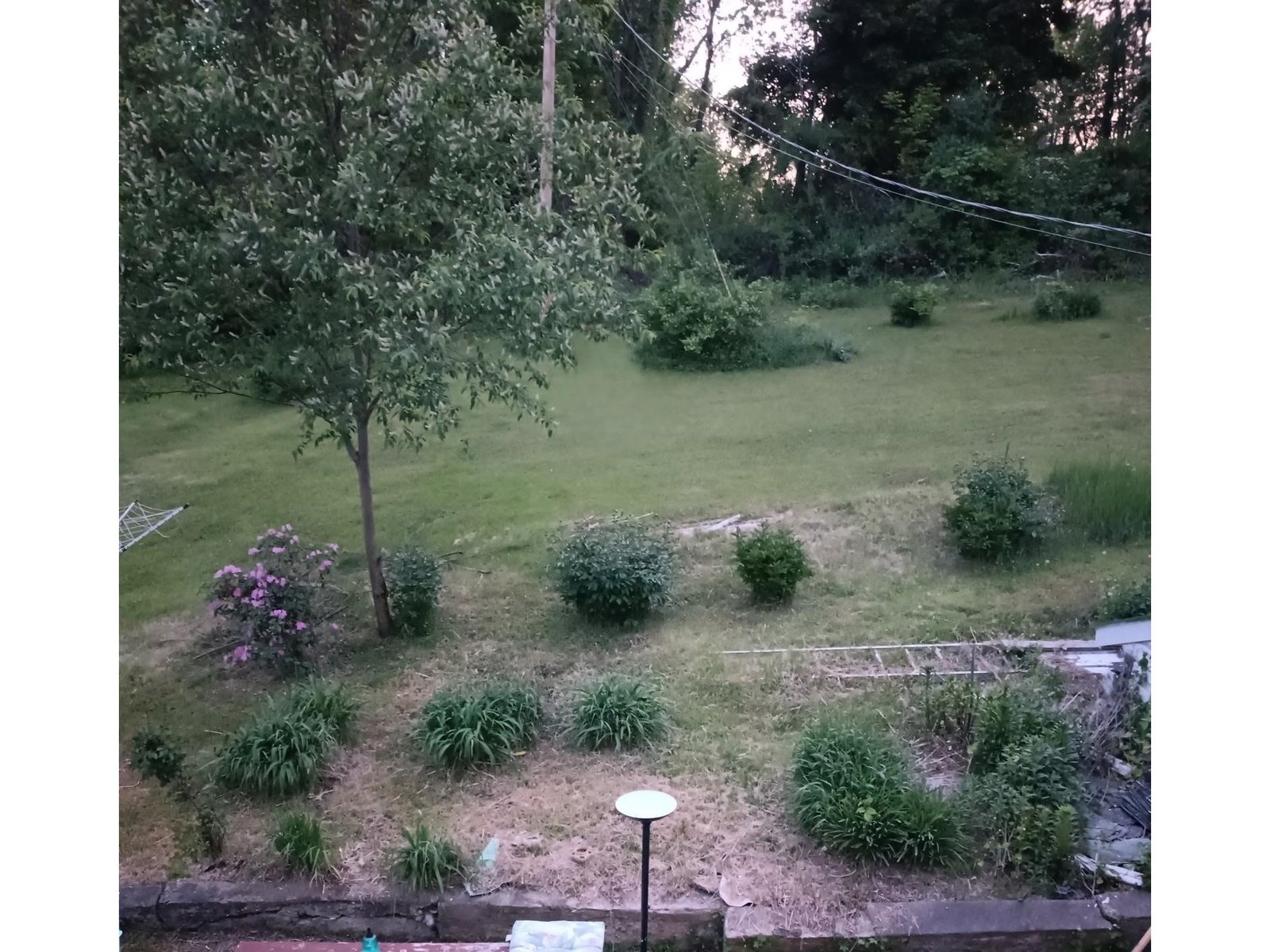 99 Spooner Point