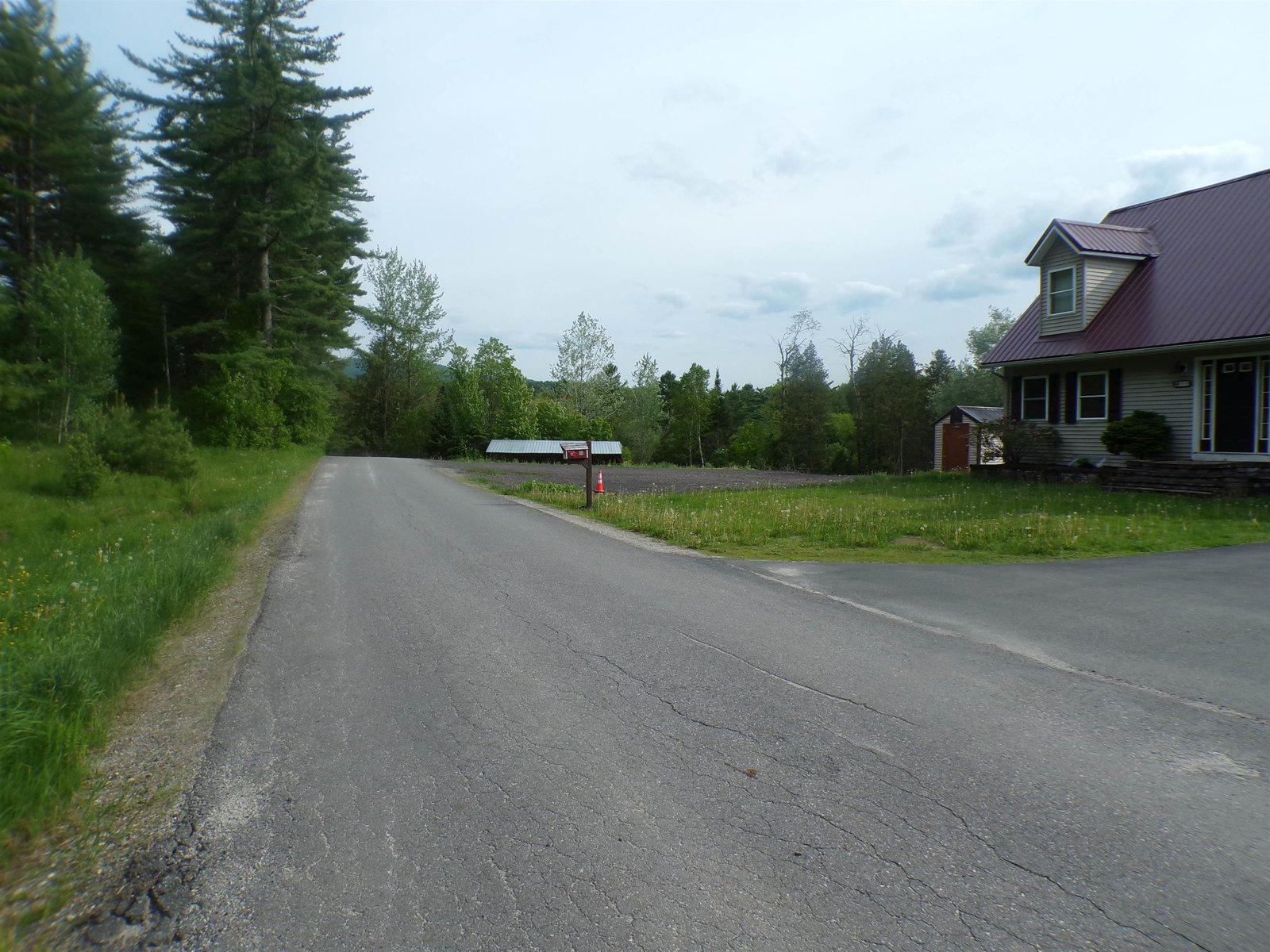 99 Veterinary Lane