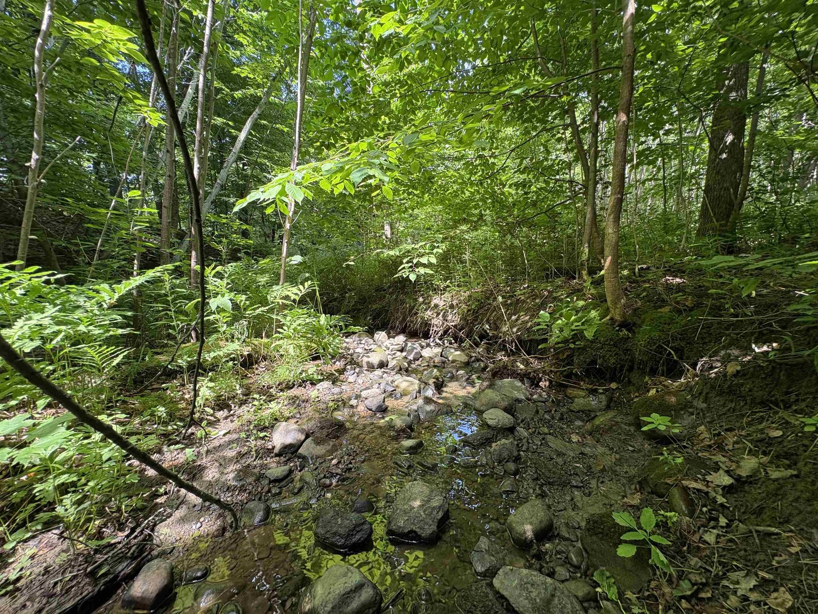 990 Bergeron Road