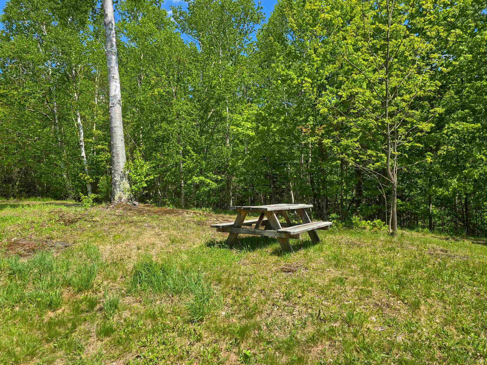 Picnic Area