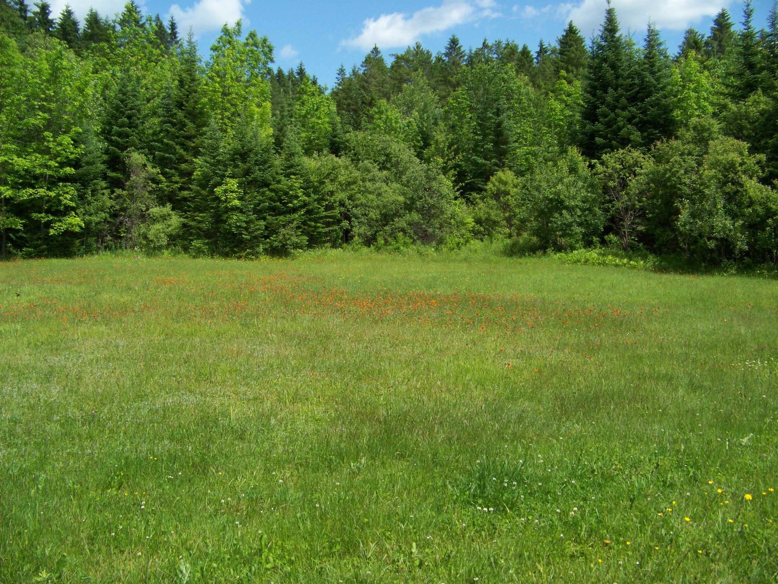 998 Town Line Road