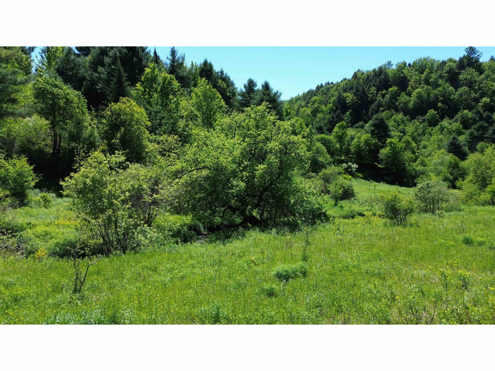 Lot 0 Darling Road