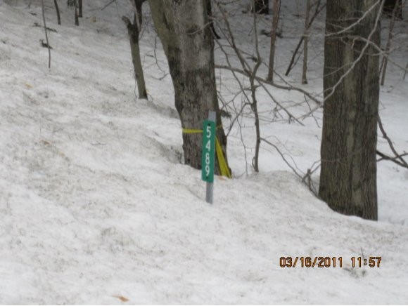 Lot 1 5489 Plot Road
