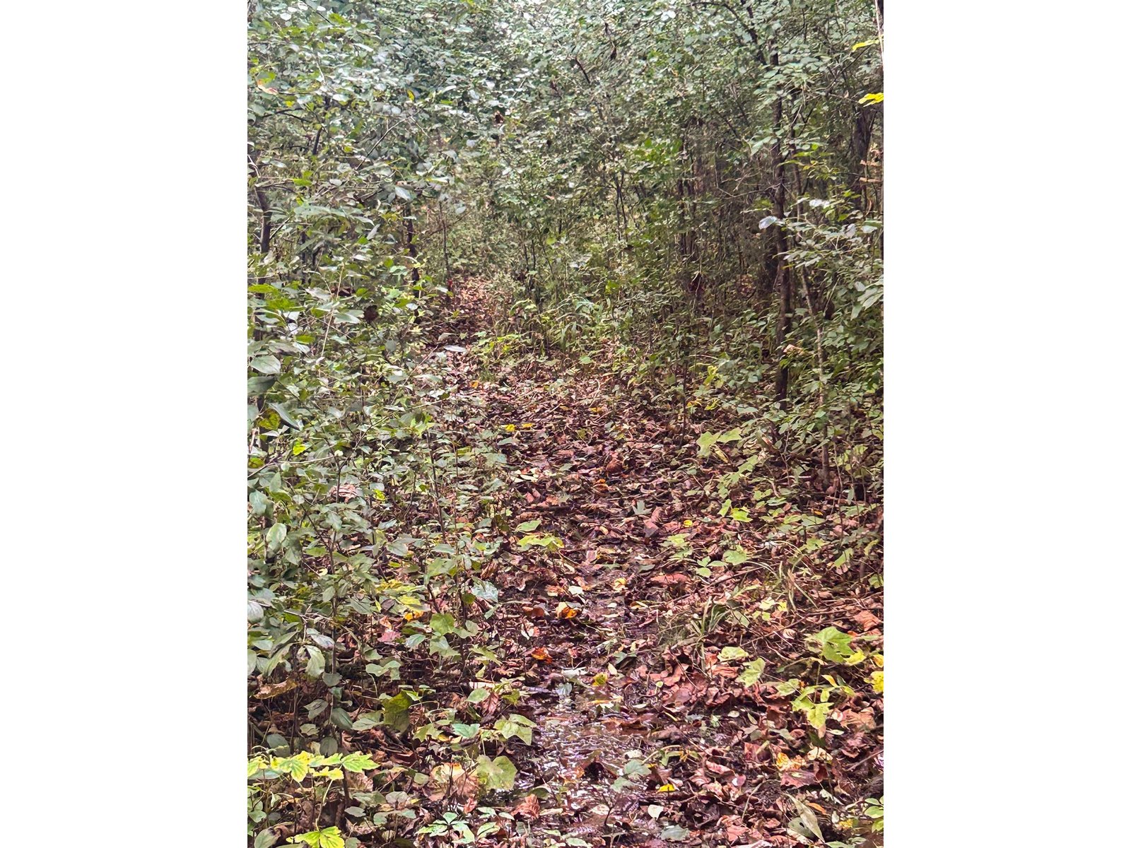 lot 1 Abnaki Road
