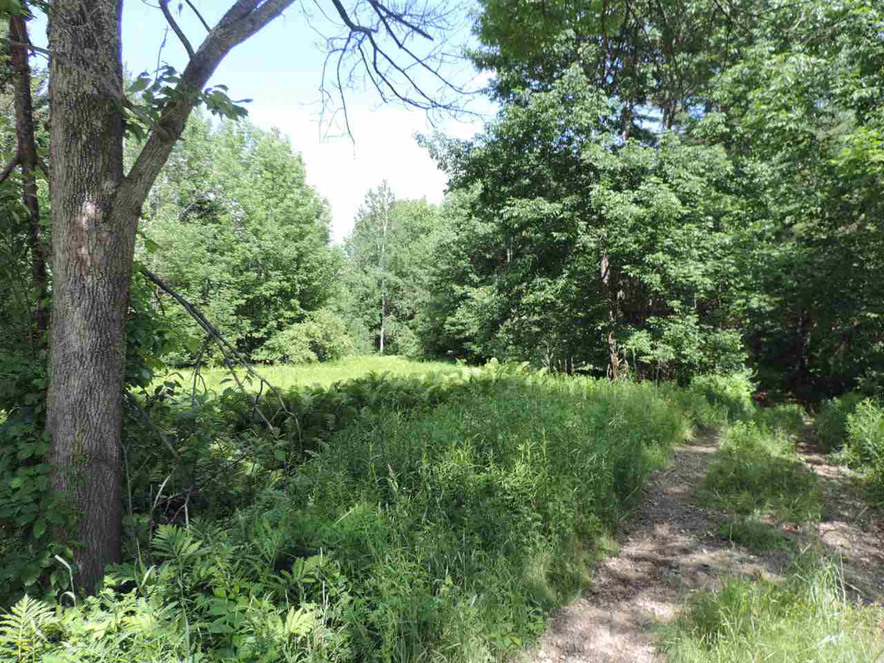 Lot 1-B Lake Road