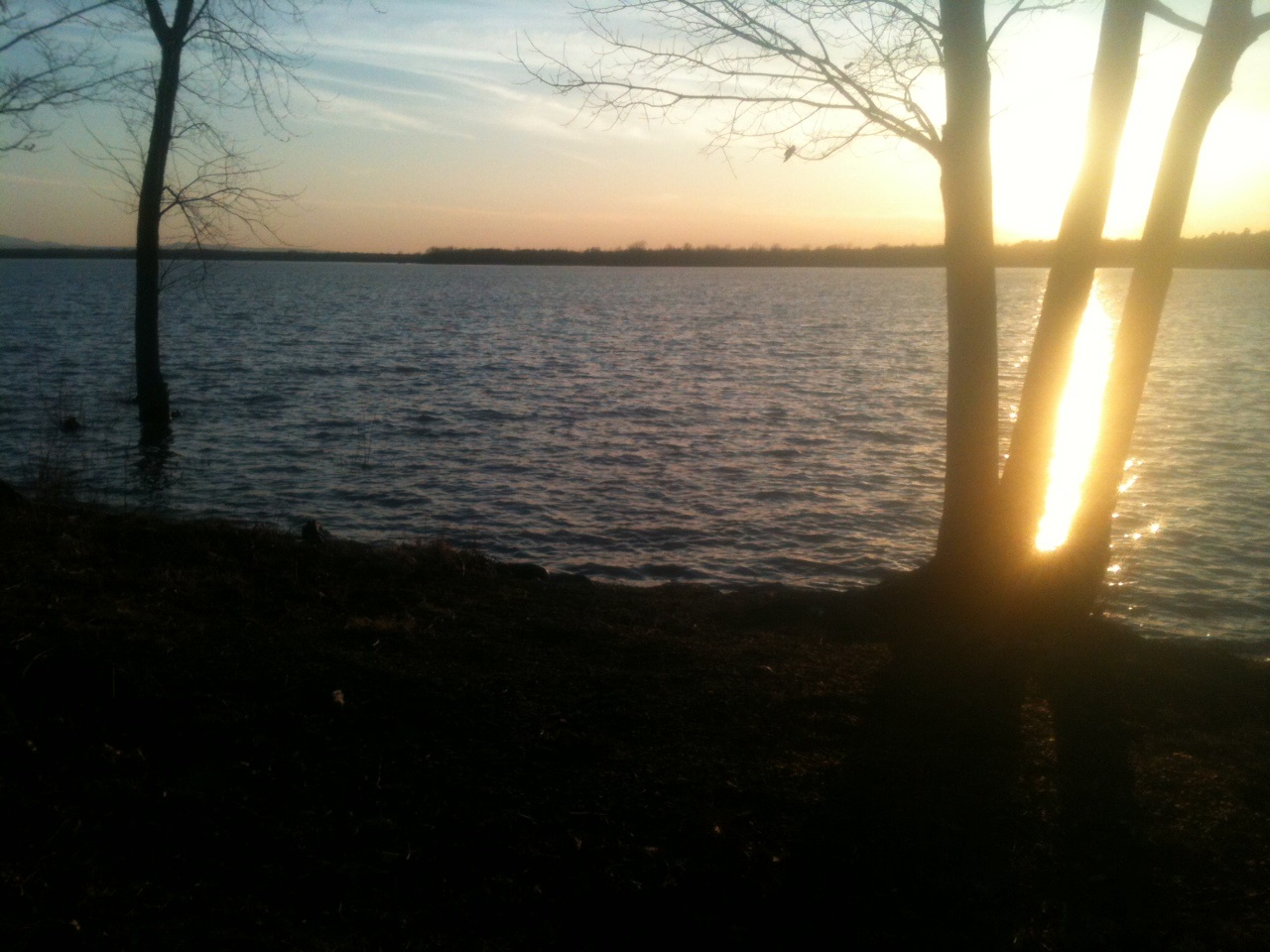 Lot 1 B Tylers Way