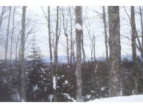 Lot 1 Back Pasture Road
