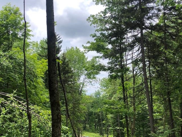 Lot #1 Bear Creek Lane