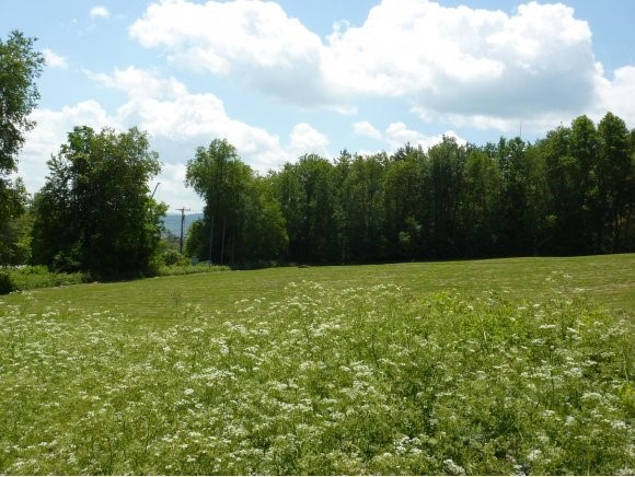 Lot 1 Blush Hill/Lonesome Trail