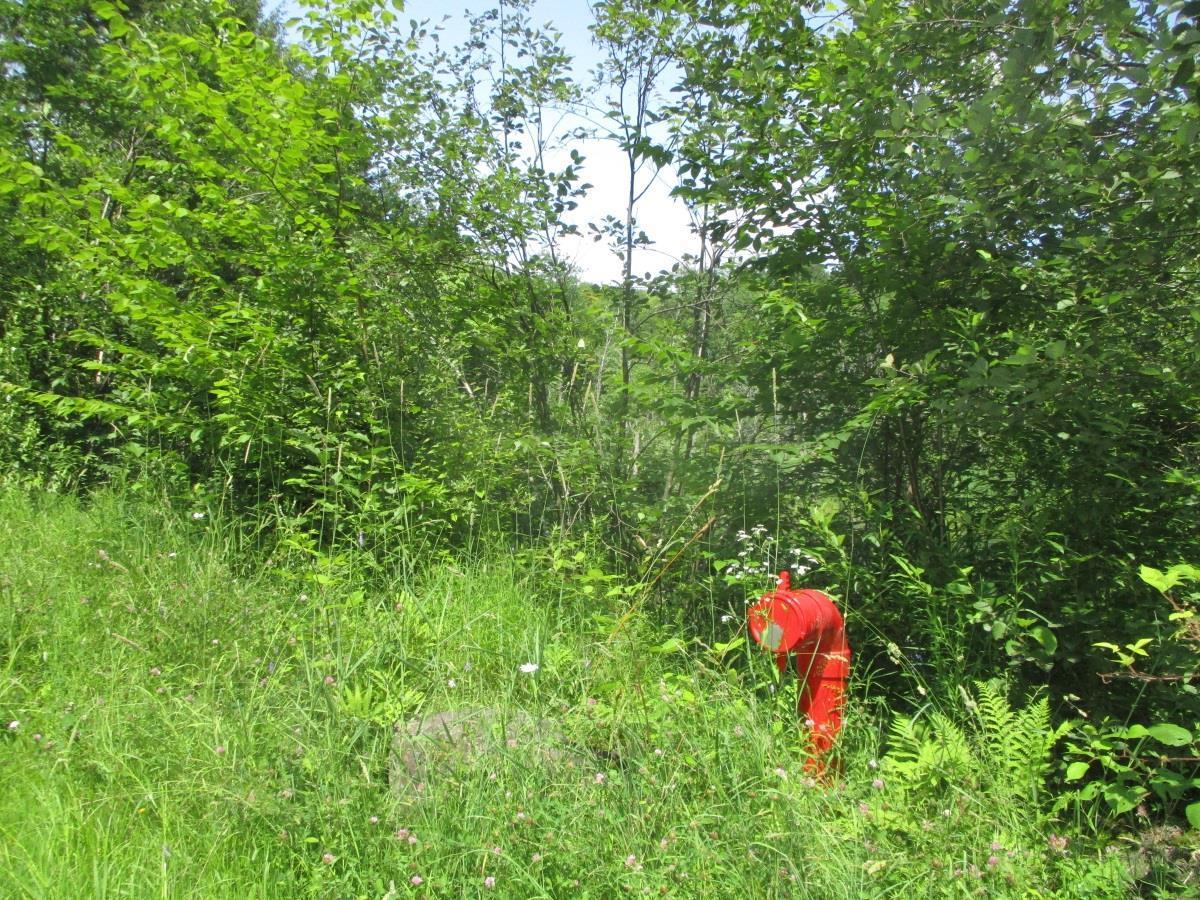 Lot 1 Brookview Lane