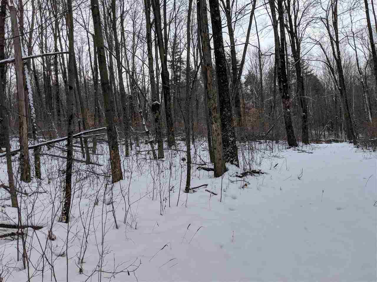 Lot #1 Butternut Road