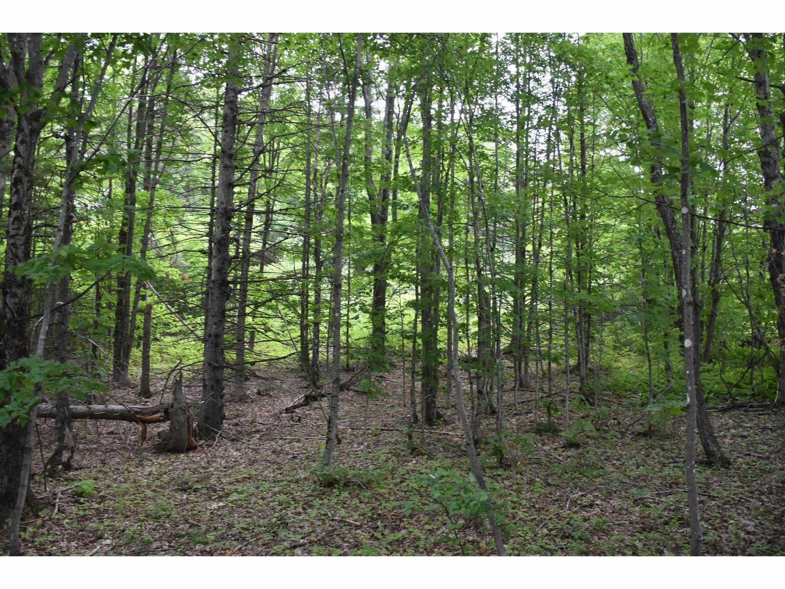 Lot 1 Cabot Plains Road