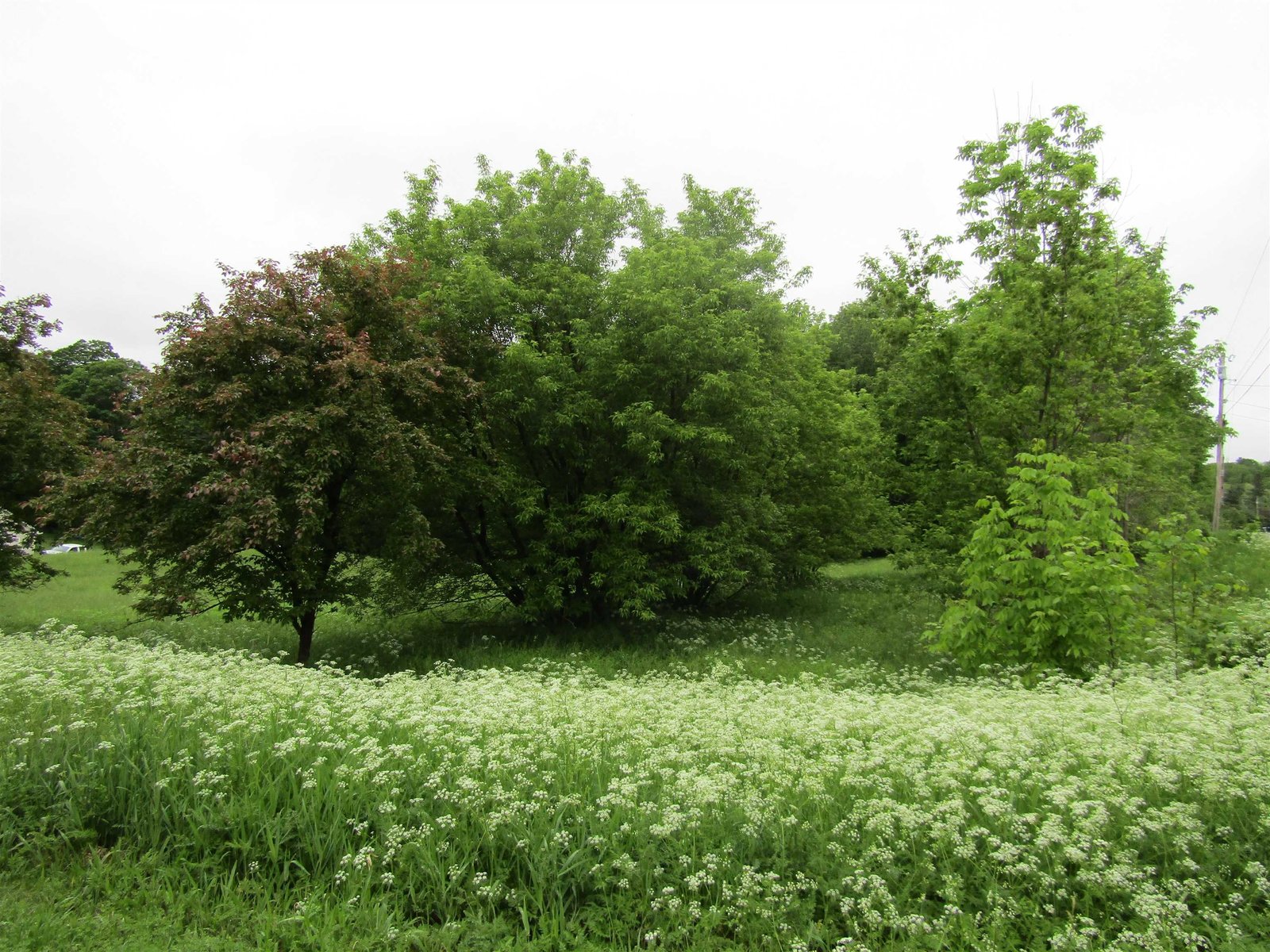 Lot 1 Countryside Drive