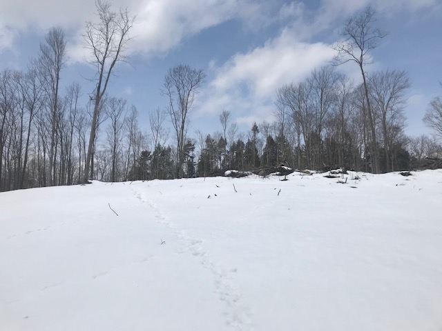 Lot 1 Georgia Mountain Road