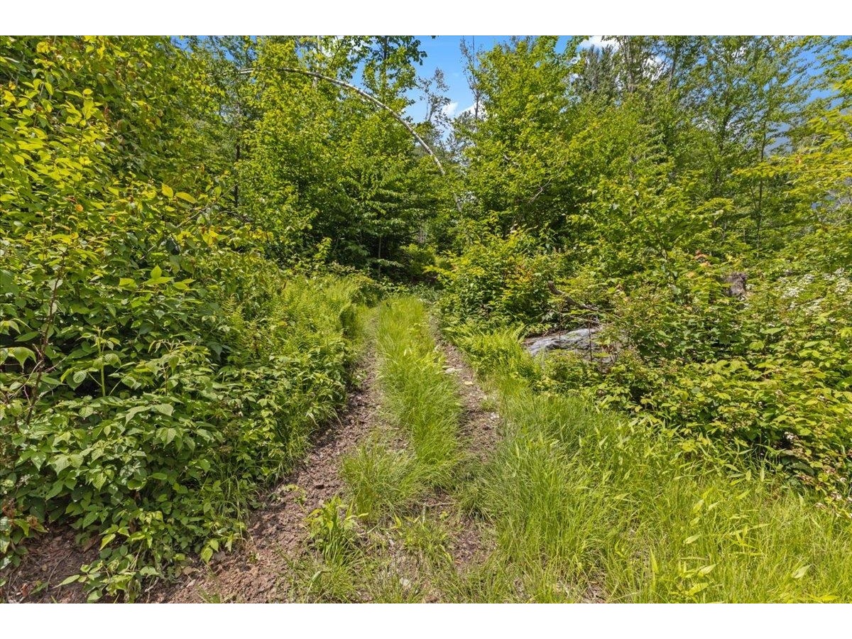 Lot 1 Marshall Road