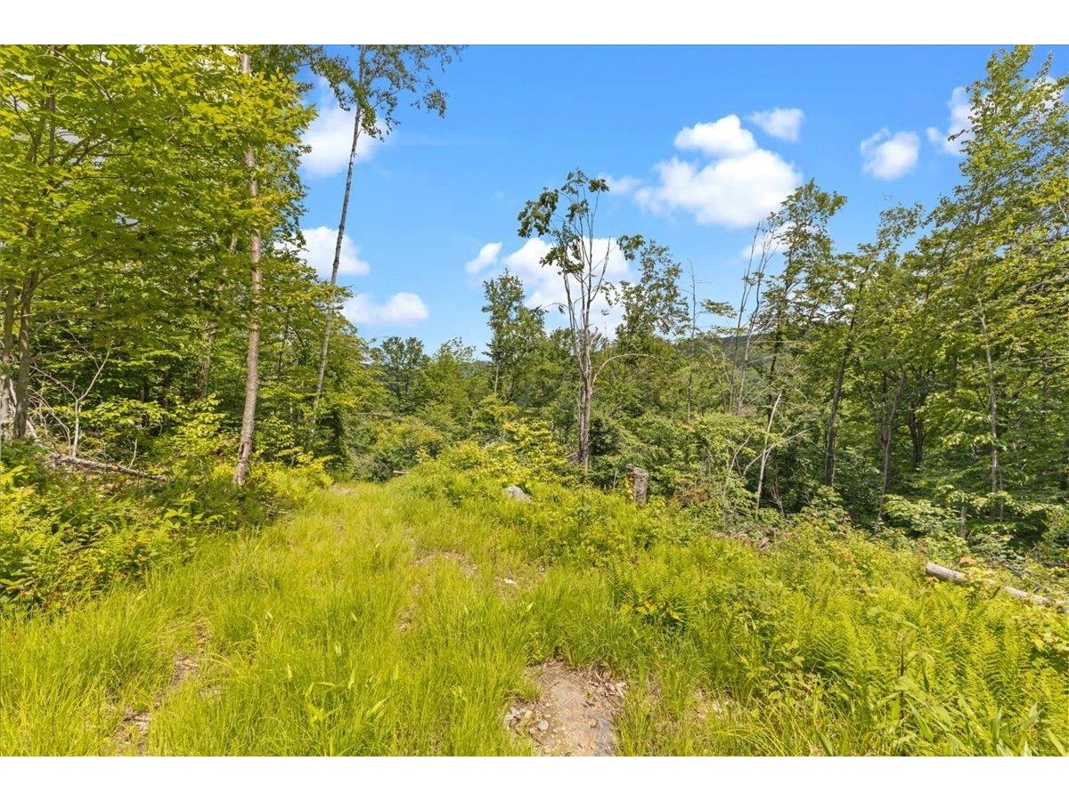 Lot 1 Marshall Road