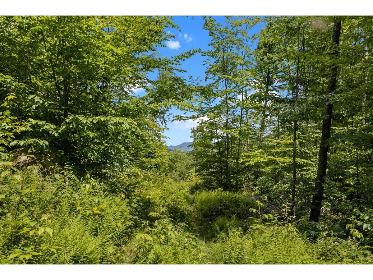 Lot 1 Marshall Road