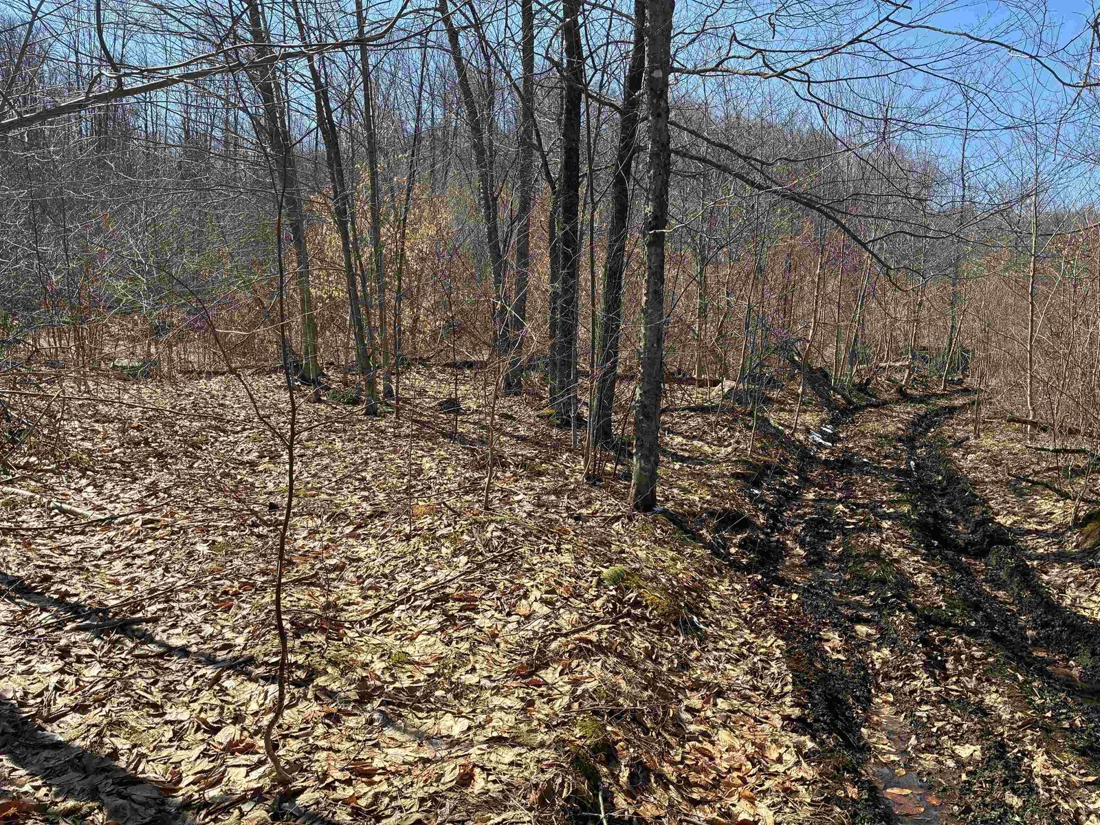 Lot 1 Marshall Road