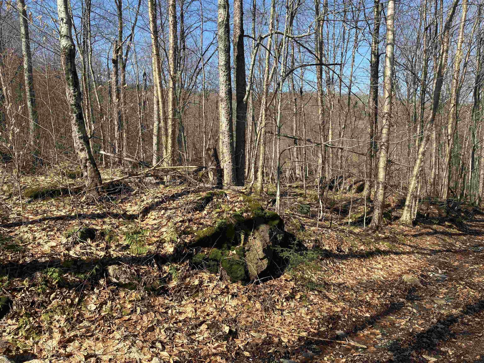 Lot 1 Marshall Road