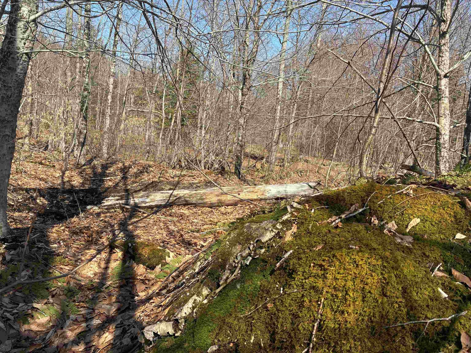 Lot 1 Marshall Road
