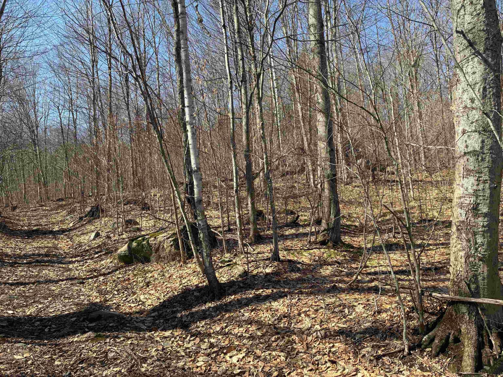 Lot 1 Marshall Road