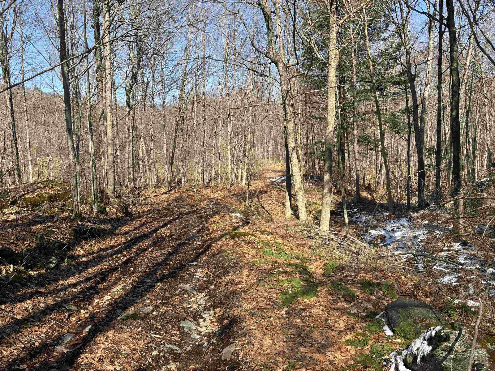 Lot 1 Marshall Road