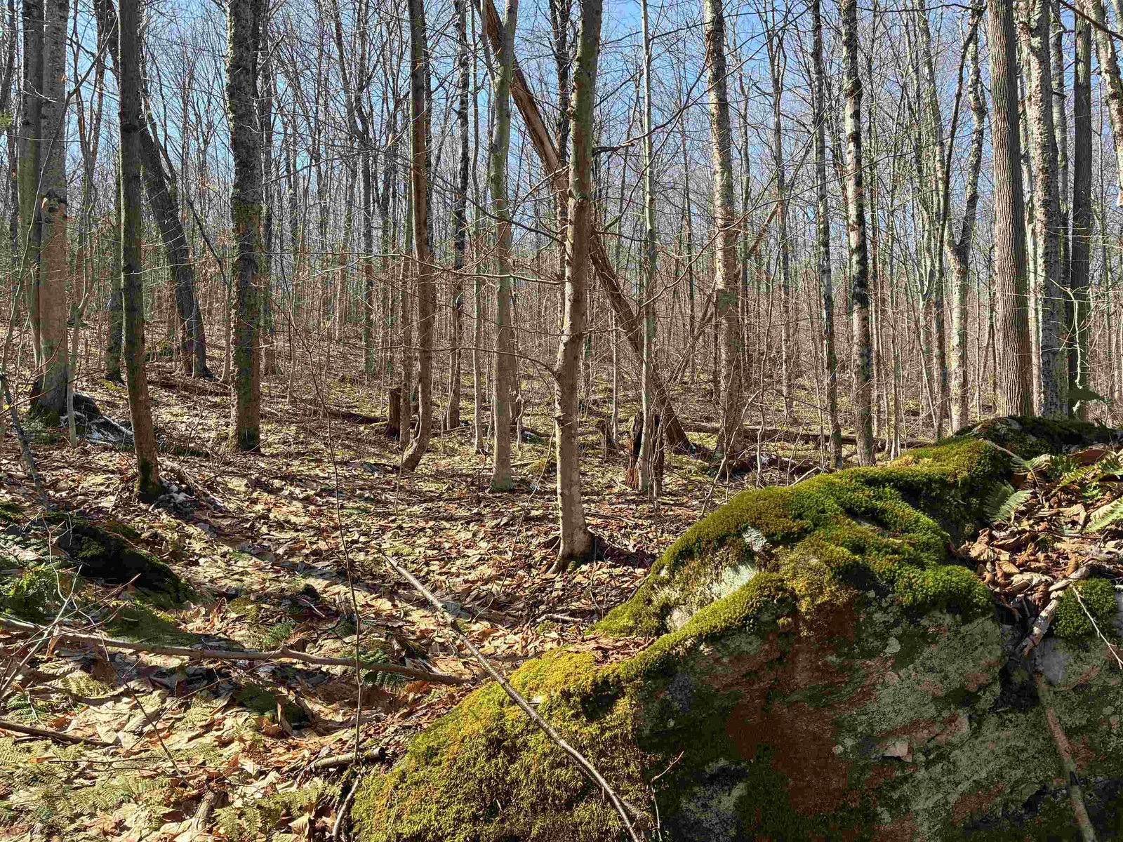 Lot 1 Marshall Road