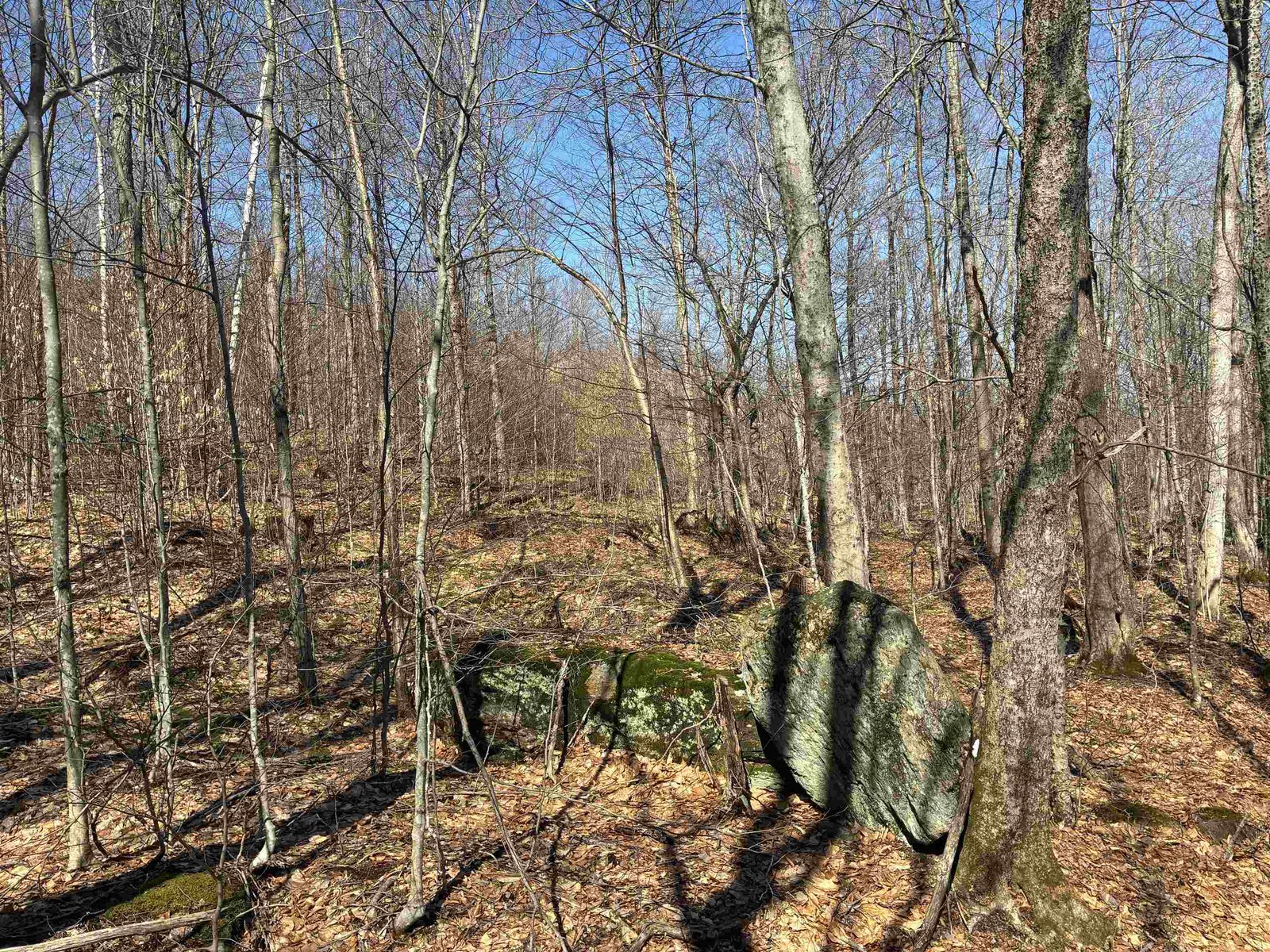 Lot 1 Marshall Road