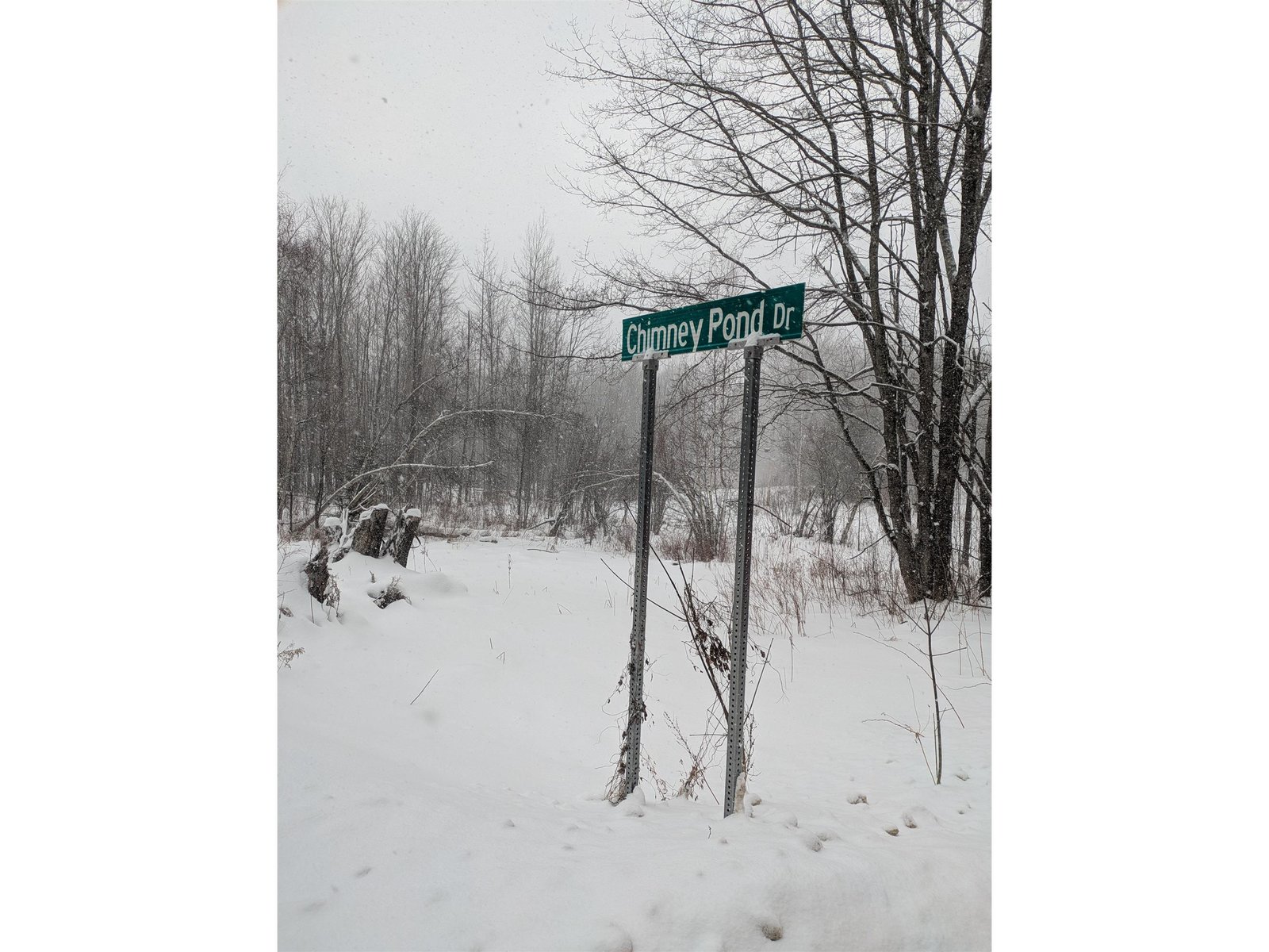 Lot 1 Mason Hill North