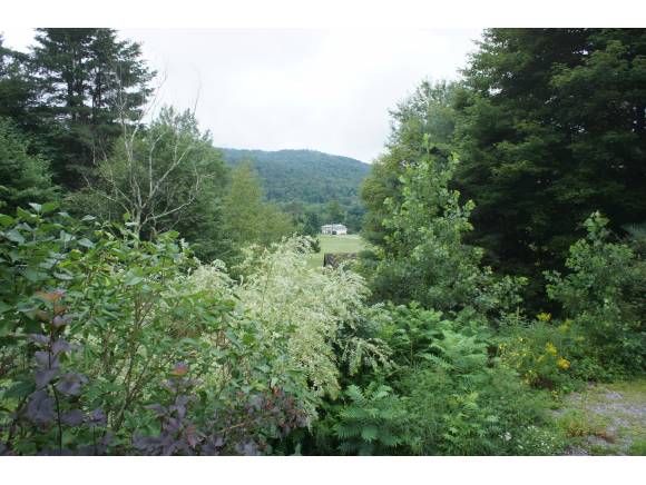 Lot 1 Piney Grove Lane