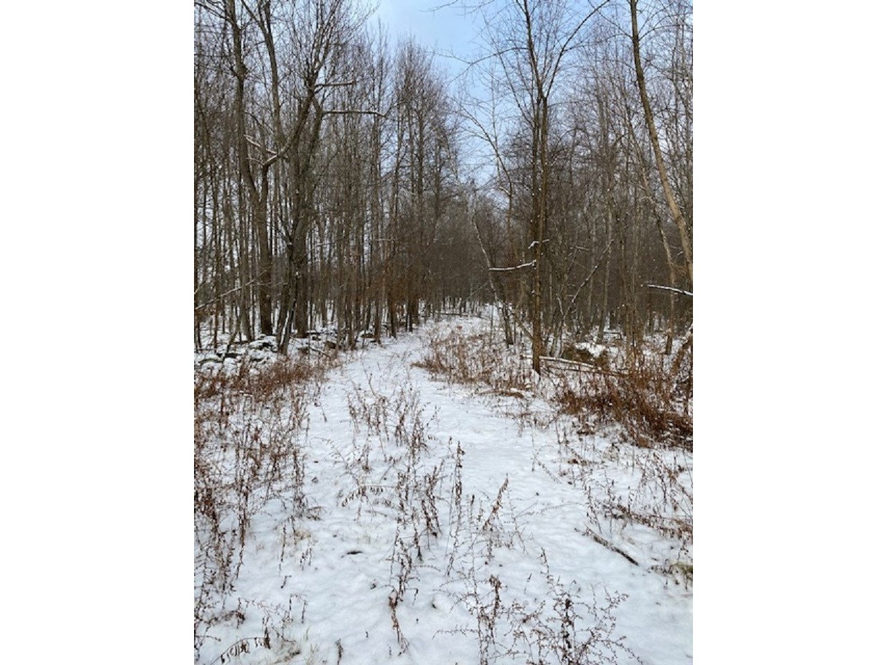 Lot 1 Reynolds Road