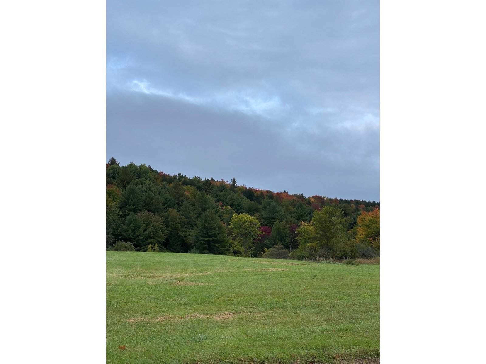 Lot 1 Sheldon Woods Road