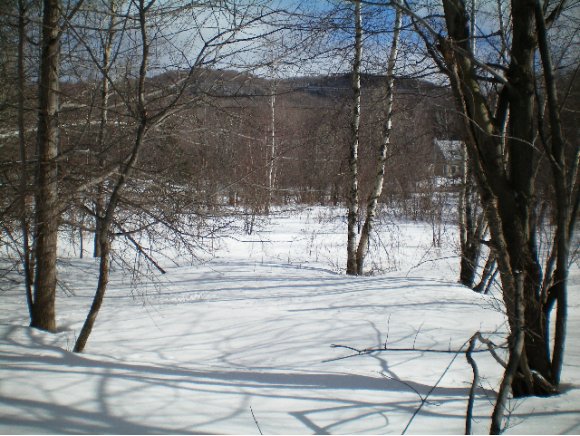 Lot 1 Sugarbush Woods Road