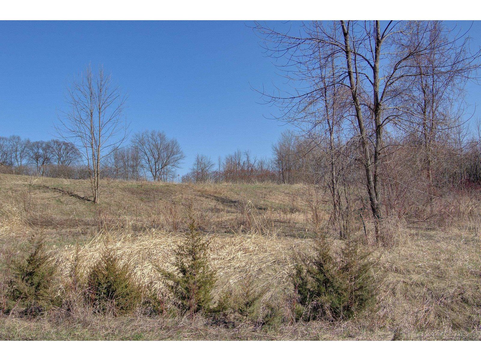 Lot 1 Terrapin Lane