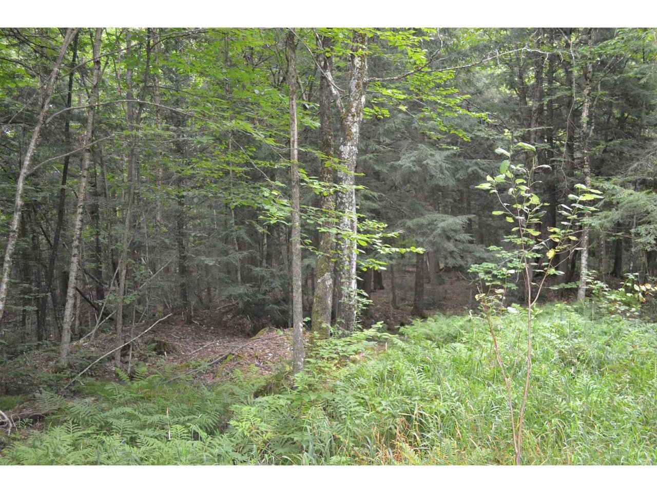 Lot #1 Woodland Drive