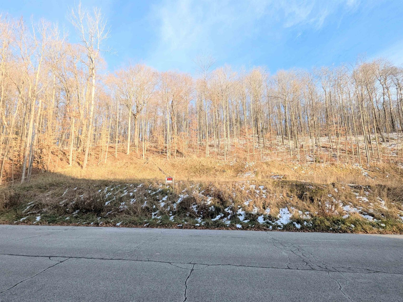 Lot #10 & 11 Maplewood Avenue