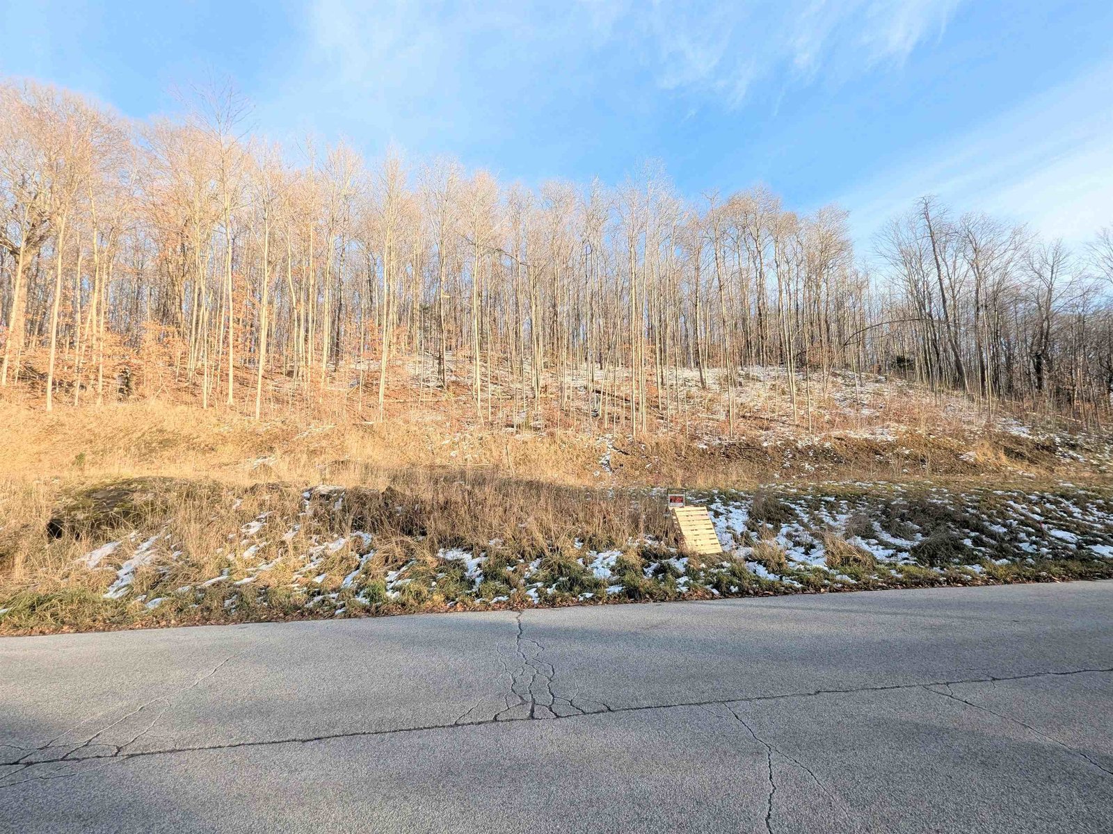 Lot #10 & 11 Maplewood Avenue
