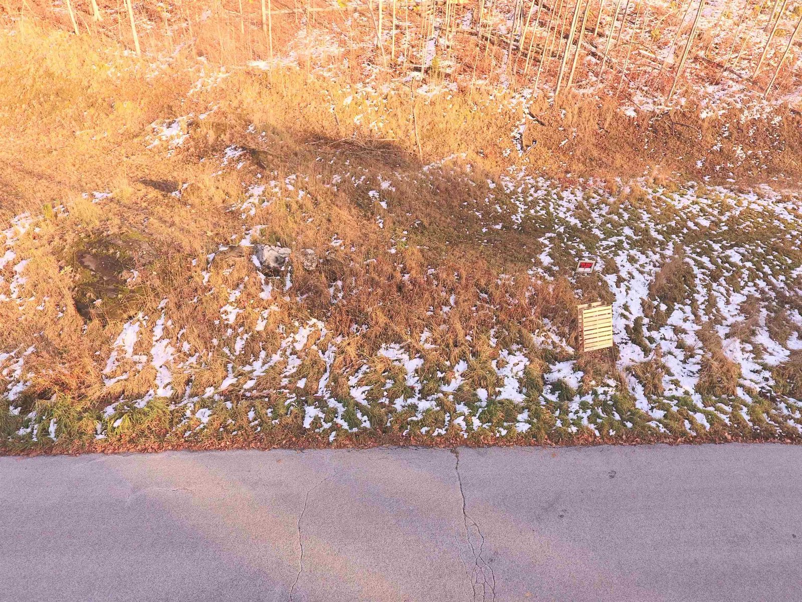 Lot #10 & 11 Maplewood Avenue