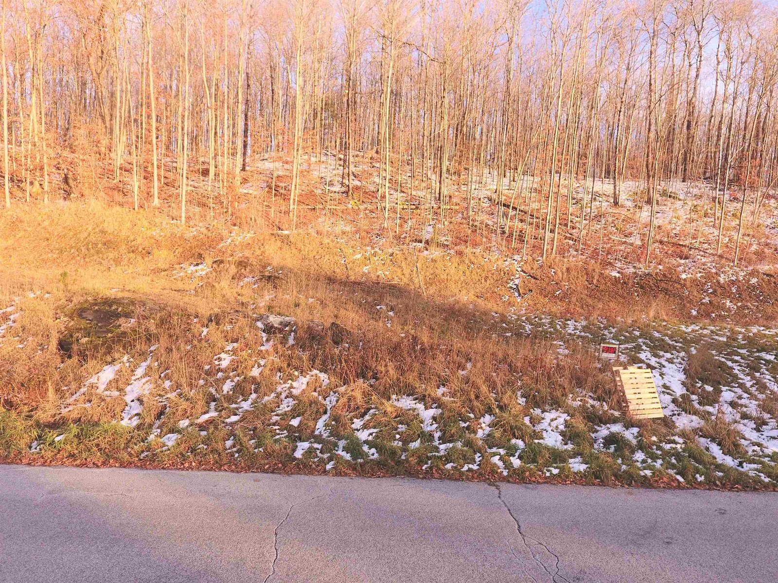 Lot #10 & 11 Maplewood Avenue
