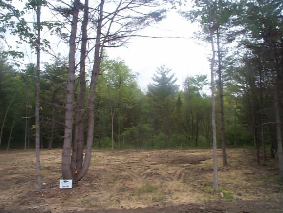 Lot #10 Sycamore ST