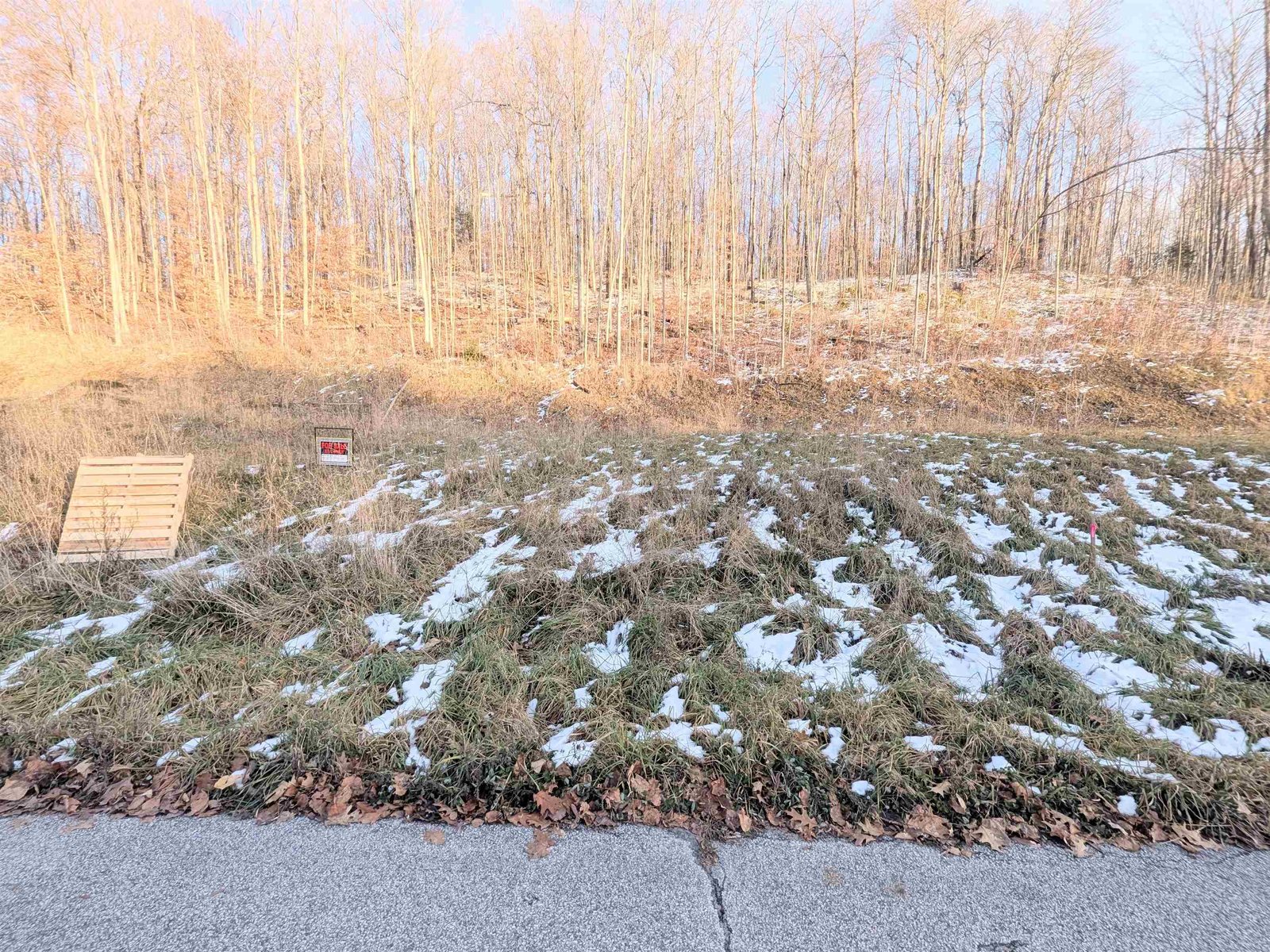 Lot # 11 Maplewood Avenue