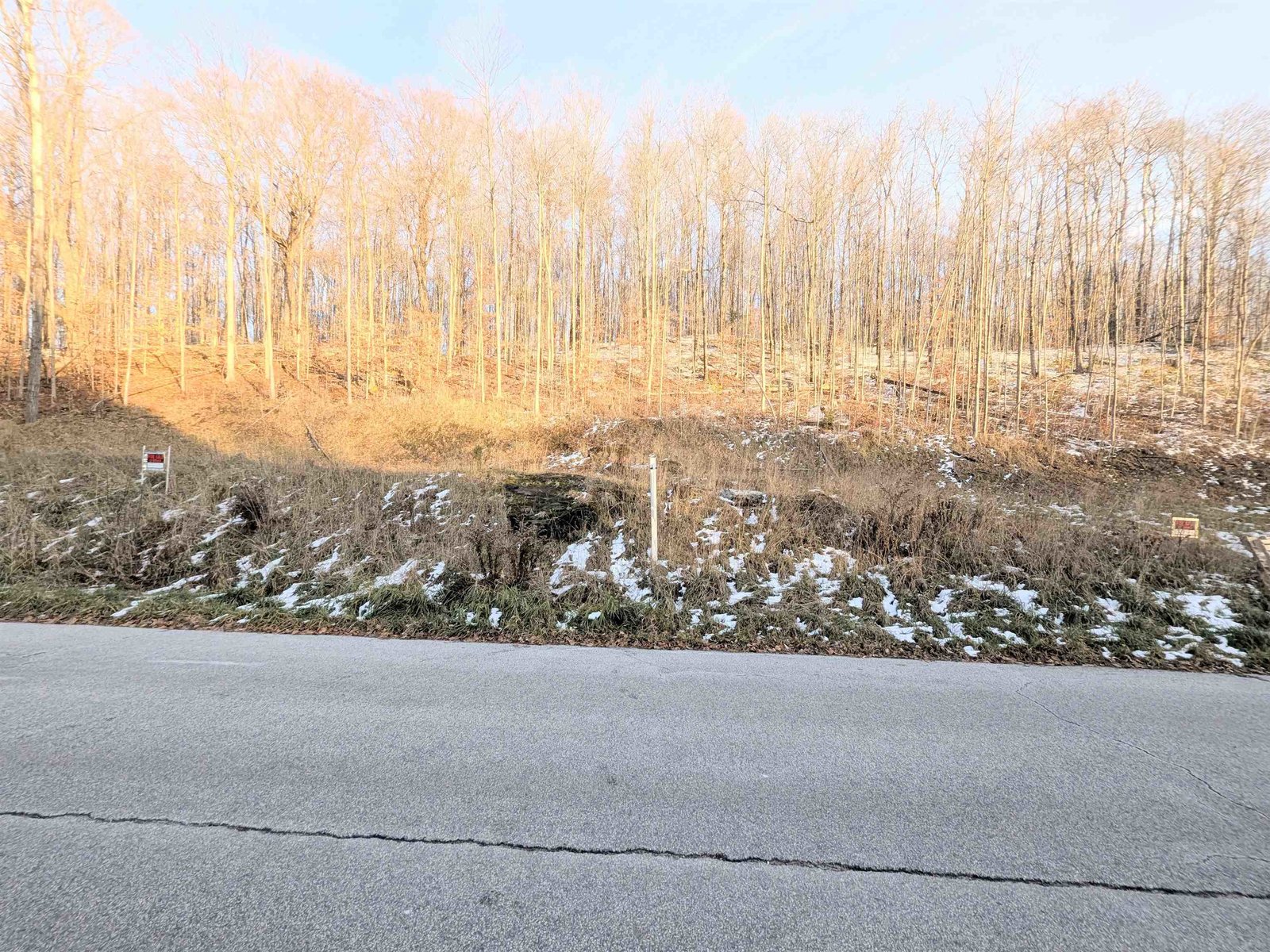 Lot # 11 Maplewood Avenue