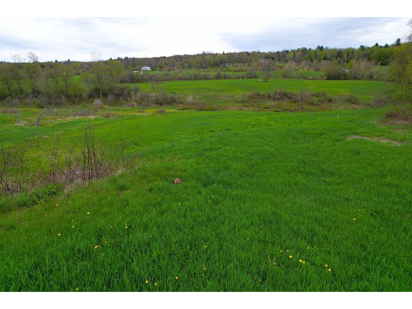 Lot 12 Homesite