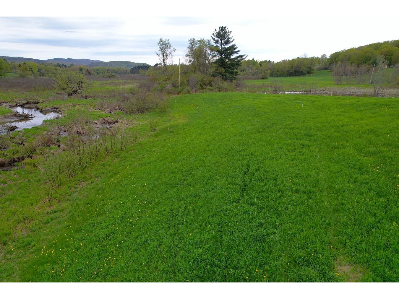 Lot 13 Near Homesite