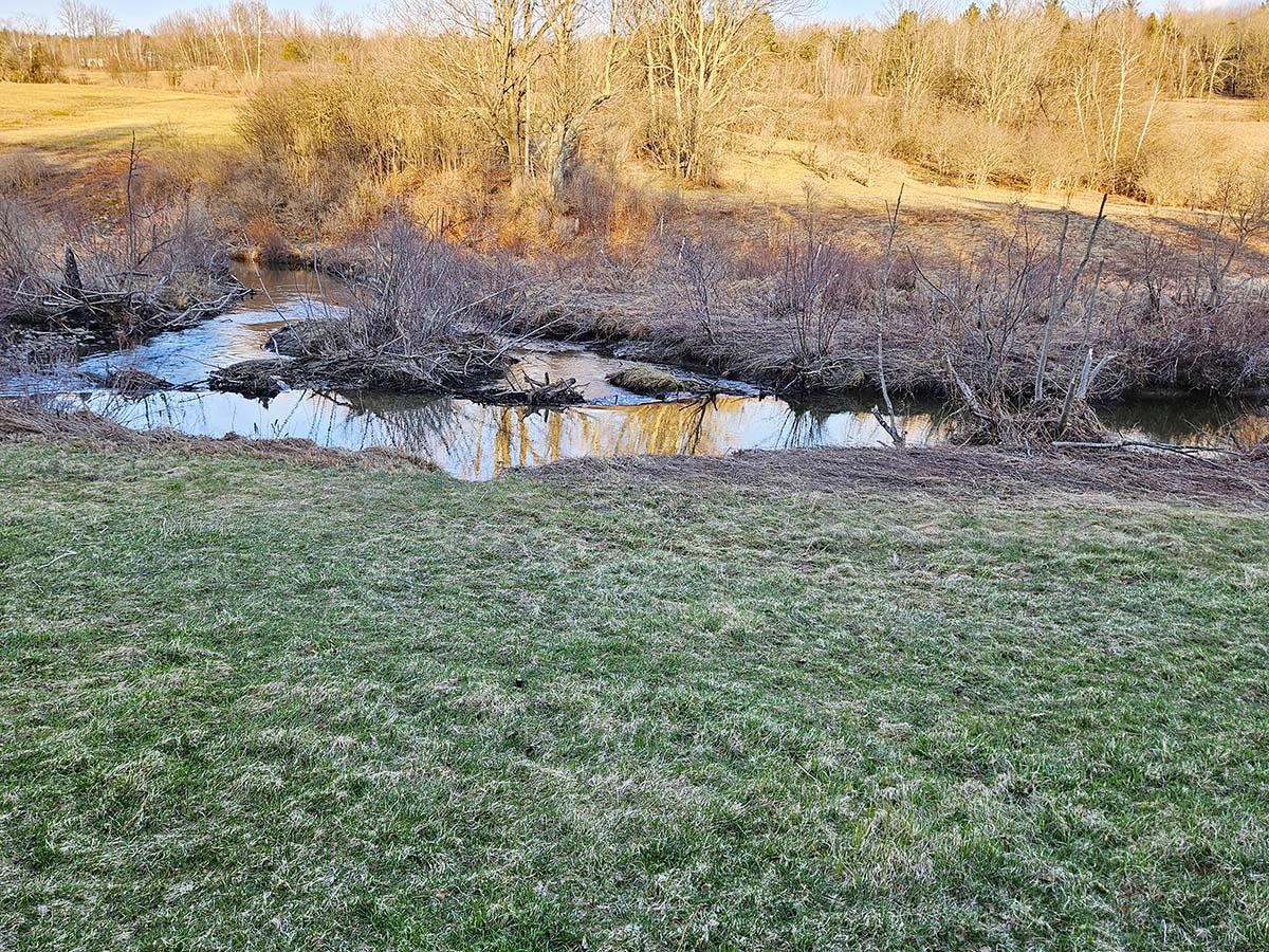 Brook Frontage